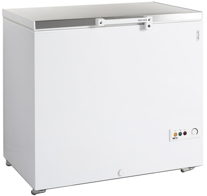 Морозильный ларь Tefcold FR305S