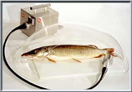 Рыбочистка Koneteollisuus (KT) KT-S