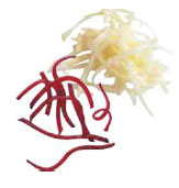 Диск терка Vortmax Z7 7мм