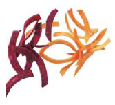 Диск соломка Vortmax H2,5 2,5мм