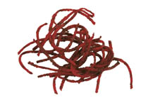 Диск терка Robot Coupe 27577 2мм