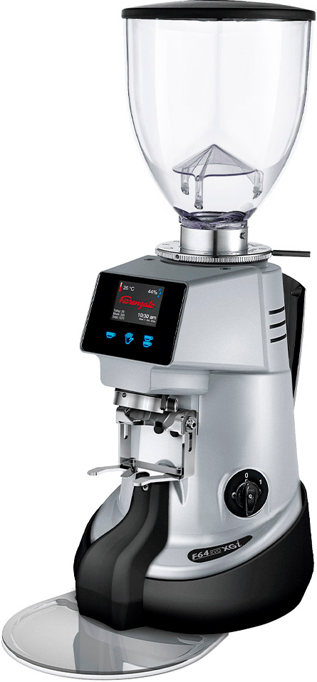 Кофемолка Fiorenzato F64 EVO XGi серая