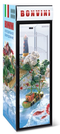 Холодильный шкаф Снеж Bonvini 500 BGC