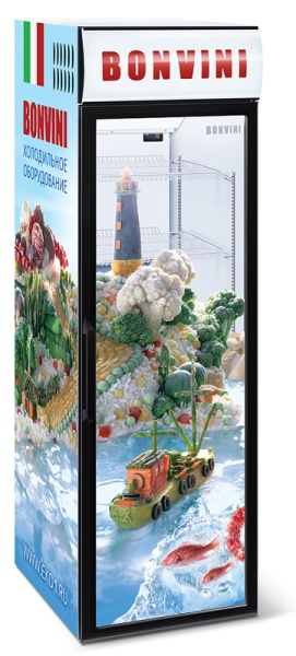 Холодильный шкаф Снеж Bonvini 500 BGC