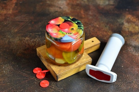 Вакуумный насос Status 199128