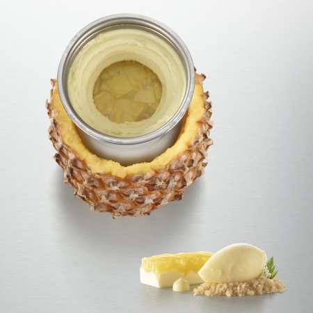 Гомогенизатор Pacojet 2 Plus