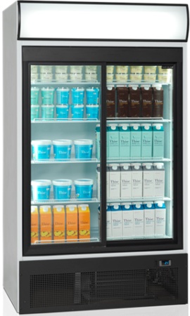 Холодильный шкаф Tefcold FSC1950S