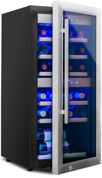 Винный шкаф Cold Vine C24-KSF2