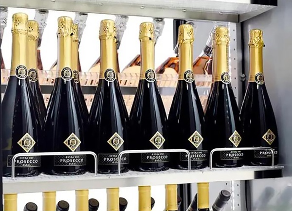 Монотемпературный винный шкаф Enofrigo H800 GM1C1V