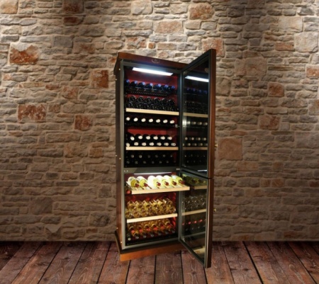Двухзонный винный шкаф Ip Industrie CEXP 601 VU