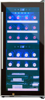 Винный шкаф Cold Vine C24-KBF2