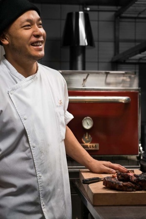 Печь на твердом топливе (хоспер) Mibrasa HMB AB 75