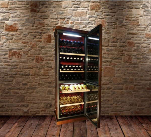 Двухзонный винный шкаф Ip Industrie CEXP 601 NU