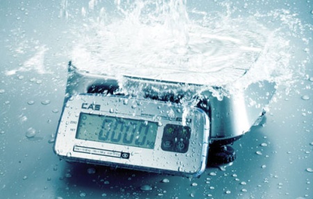 Весы порционные Cas FW500-15E