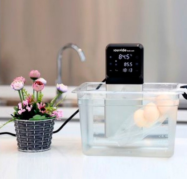 Погружной термостат SousVideTools SVT-01005EU