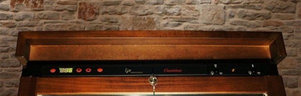 Двухзонный винный шкаф Ip Industrie CEXP 601 CU