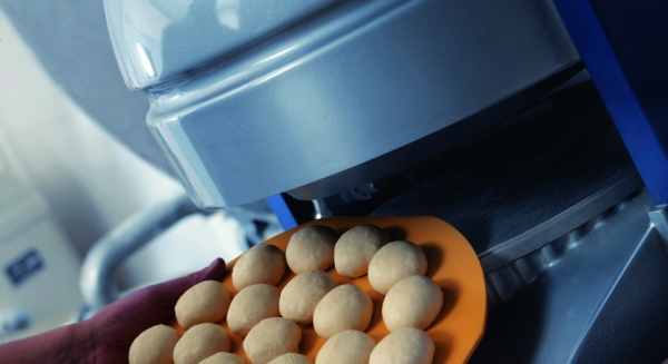 Тестоделительная машина Daub DR Robot 4/36