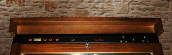 Двухзонный винный шкаф Ip Industrie CEXP 601 VU